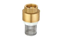 Check valves